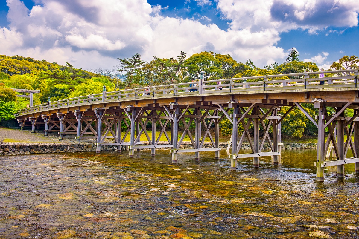079031c3-e3d4-462a-a333-7422a08a6d47.jpg