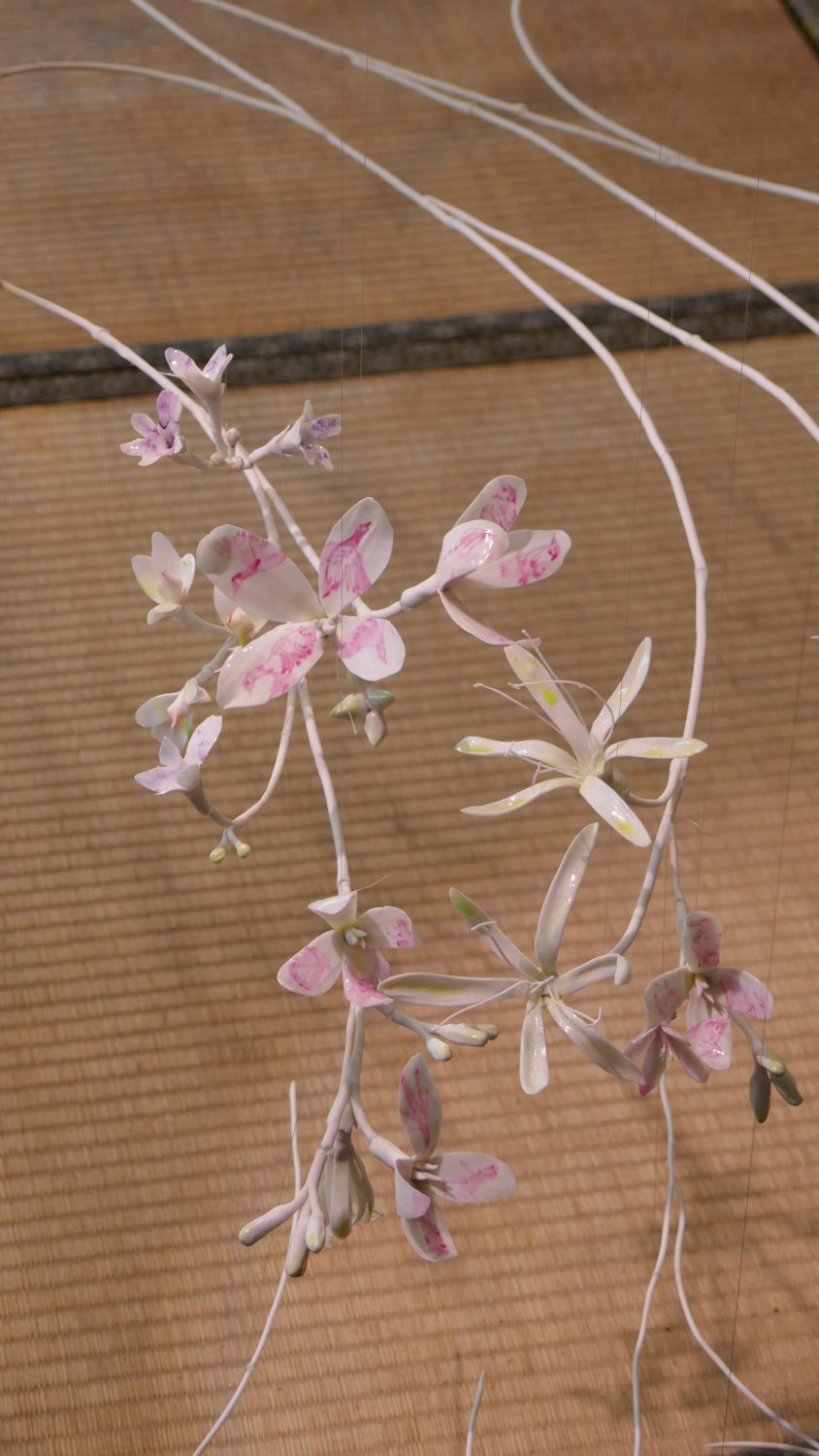 Sea Vine à Ogijima