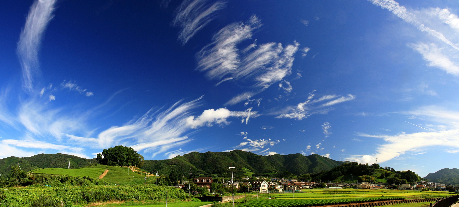 0c954e35-4b66-4146-b907-1a6cef2a3848.jpg