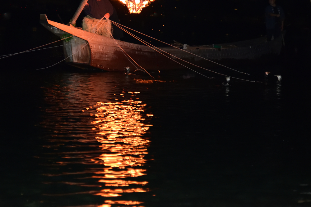 4bd62b58-417e-49da-a404-5f15f6a63e8b.jpg Ukai(cormorant fishing)