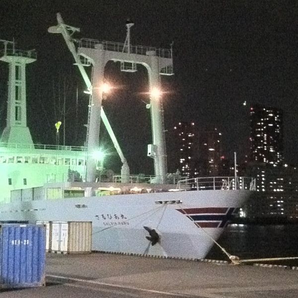 Night view of Sarubiamaru boat