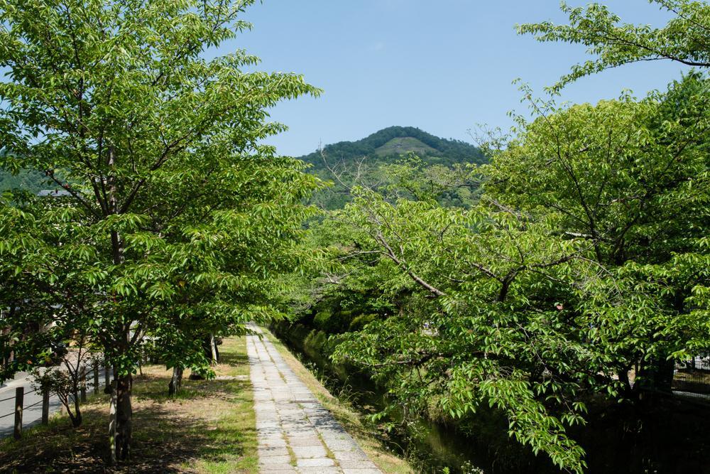 大文字山 大文字山