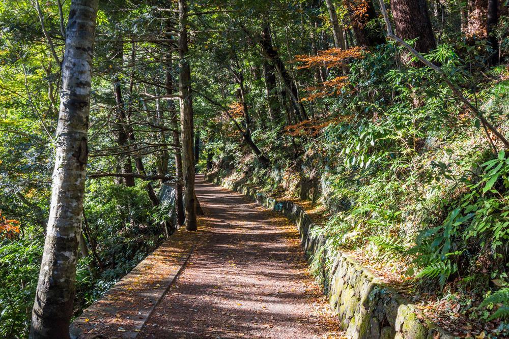 e9adab2a-1af5-4791-ae9e-a125a0c98ec9.jpg Mt. Takao