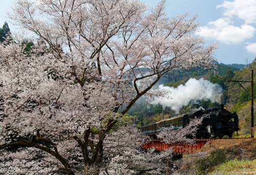 Voyage en locomotive dans la campagne japonaise
