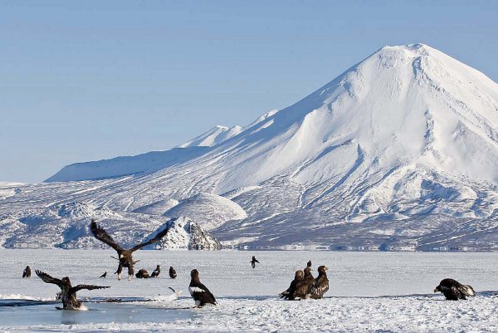 冬のカムチャツカ半島を訪れてみませんか？
