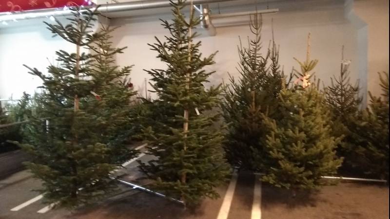 クロアチア 今みんなが待ち望むもの