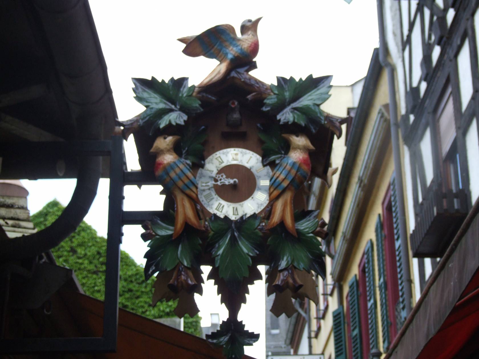 スタッフのドイツレポート ～リューデスハイム編～