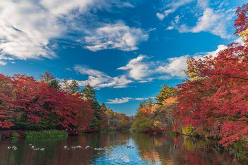 Dans la nature grandiose de Karuizawa.