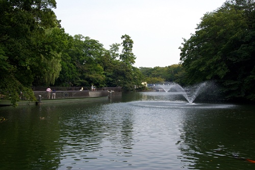 Le parc Inokashira