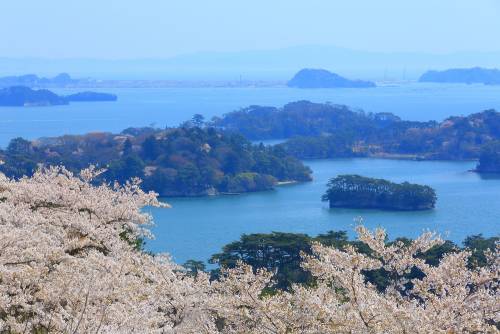 La baie sacrée de Matsushima