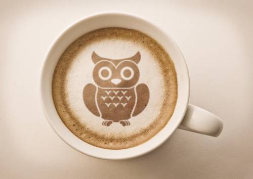 Japon insolite - Café à Hiboux