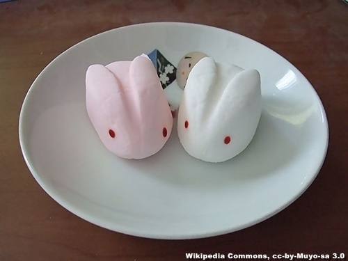 Petit plaisir du Japon : Wagashi, patisseries traditionnelles
