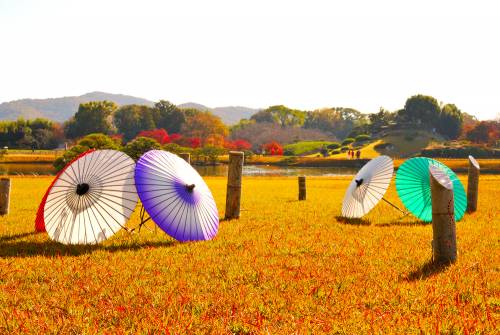 Voyage ensoleillé à Okayama