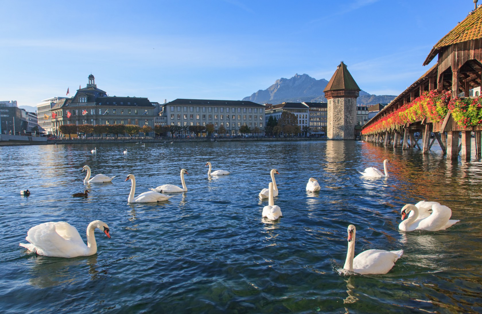 ルツェルン発着 市内観光 湖上クルーズ フォルクローレディナー付き 日本語ガイド