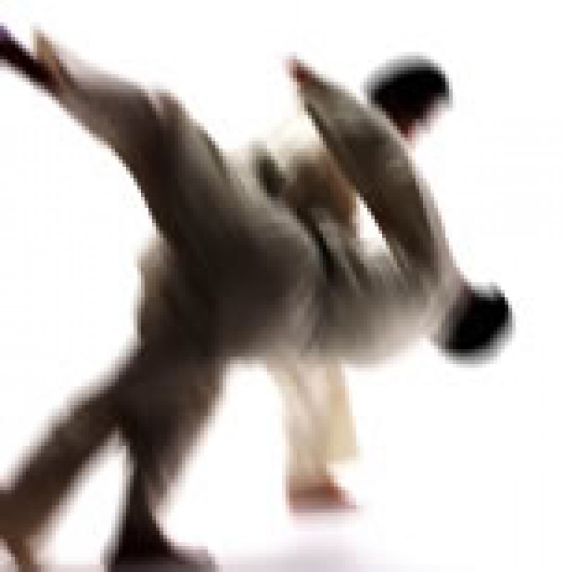 2011 パリ柔道世界選手権大会 フランスメディアが選んだ「IPPON」ベスト5