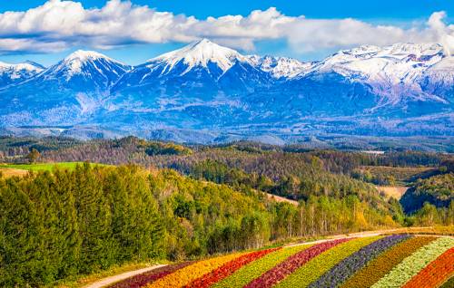 Contempler l’arrivée du printemps à Hokkaido
