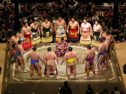 Culture japonaise: les tournois de Sumo