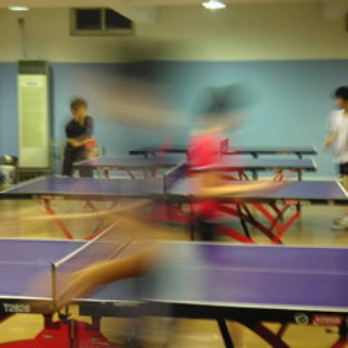 中国合宿 参加者アンケート